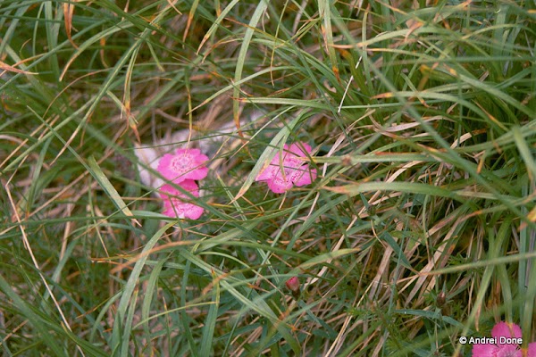 00302.jpg 00302.jpg