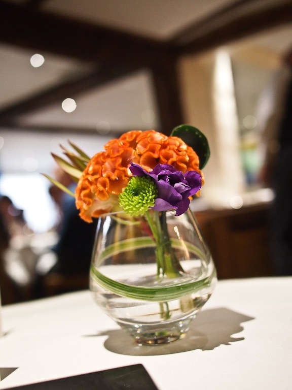 [P5246307-19.jpg]