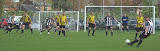 20130504 Waardenburg uit 1-2 309.jpg