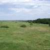 Park Narodowy "Ujście Warty" -wieża widokowa: widok z góry dsc05791.jpg