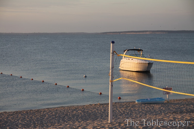 water shots 016