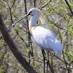 IMG_0901-Crop 1.jpg