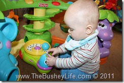 IMG_0177 IMG_0177