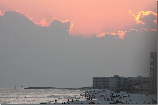 IMG_1206 IMG_1206
