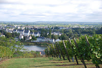 Walking through the vines