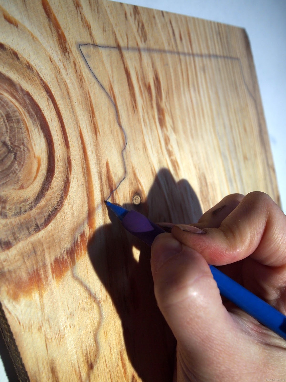 [Trace%2520the%2520perimeter%2520of%2520your%2520state%2520onto%2520wood%2520and%2520cut%2520a%2520state%2520plaque%2521%2520%255BSawdust%2520and%2520Embryos%255D%255B3%255D.jpg]