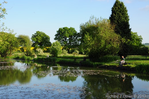 DSC_3176 DSC_3176