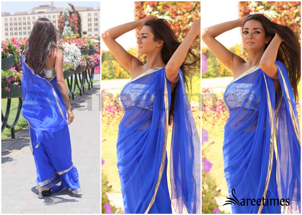 [Blue_Net_Saree%255B4%255D.jpg]