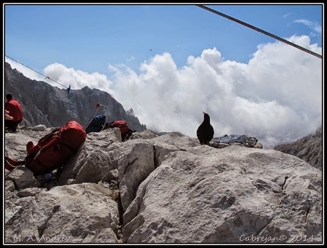 Picos 167 Picos 167
