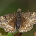 20110326_36