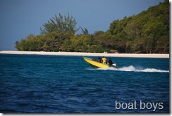 DSC_0547 DSC_0547