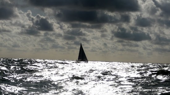 20110910-P1250342.jpg 20110910-P1250342.jpg