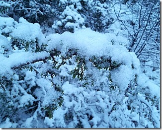 2011-12-03_12.24.21