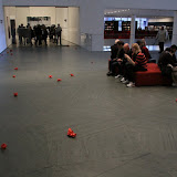 IMG_2432.JPG