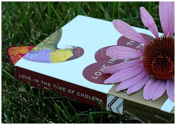love-in-the-time-of-cholera.jpg Love in the time of cholera