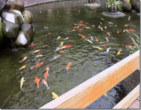 KOi Pond at New World Hotel Makati Manila