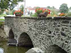 In der Gemeinde befindet sich eine steinerne Brücke über den Bach „Třešťský potok“, die zu den ältesten Brücken in Mähren zählt. Die Gemeinde Jezdovice hat dank der Silber-Bergbau eine historische Bedeutung. Die Dorfdominante ist der Teich Jezdovický rybník, dessen Fläche 27 ha beträgt.
