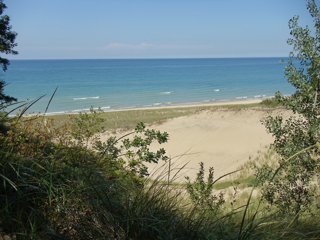 [DSC007774.jpg]