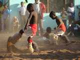 South Africa - 250.JPG