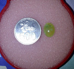 SD 05.jpg