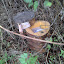 2010-11-25_12-29-10_741.jpg