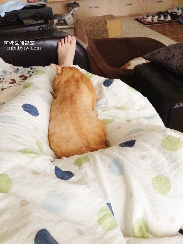 調整大小IMG_5626 調整大小IMG_5626