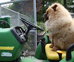 I'm fairly certain that I heard Martha tell me that I should tend to the vegetable garden.
