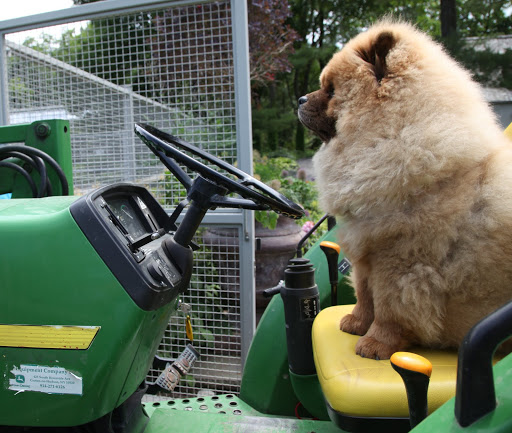 I'm fairly certain that I heard Martha tell me that I should tend to the vegetable garden.