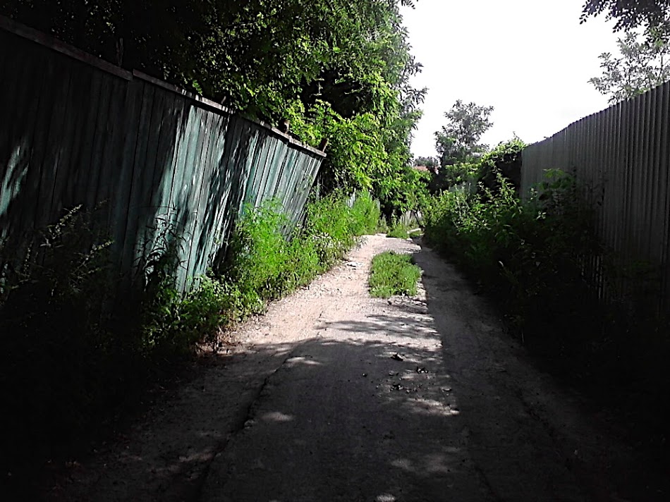 P300711_11.04_[01].jpg