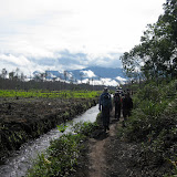 Walking towards Gunung Palung along canal in degraded peat land (Andy Dean, July 2010)