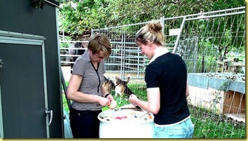 20140905145752-(1) 20140905145752-(1)