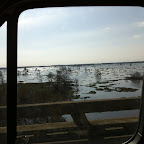 Scenery on the drive