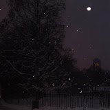 DSC00394.JPG