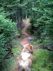 I love visiting Skylands as much as Martha does!  She fell in love with this property when she was invited here for a cocktail party here back in 1997 hosted by its owner, Mrs. Edward Leedes.