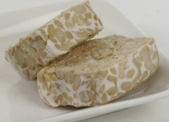 Microbial of fermented foods - tempe