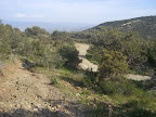 193.JPG
