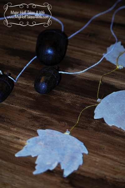 acorns-and-leaves.jpg Acorns and leaves