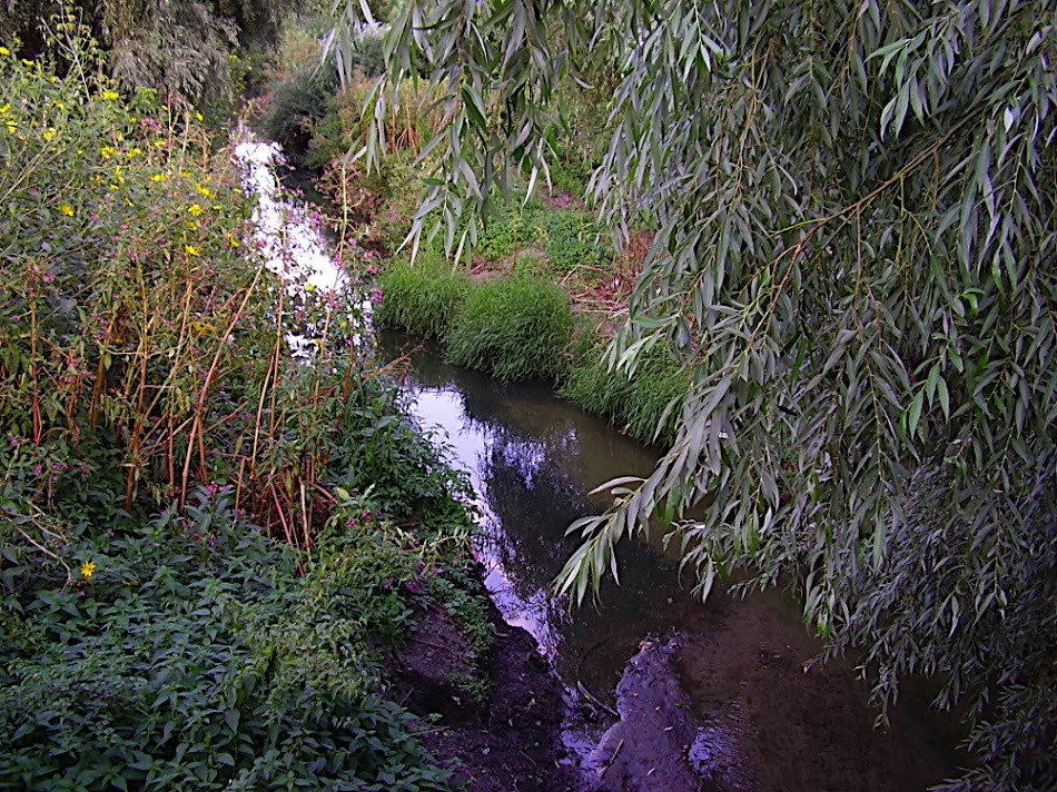 P8260334.JPG