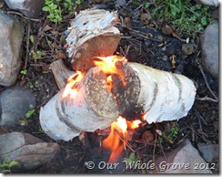 warming fire warming fire
