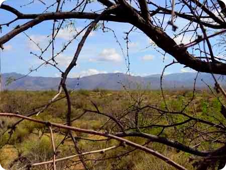 view-of-mts.