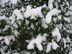 Veluwezoom, 1