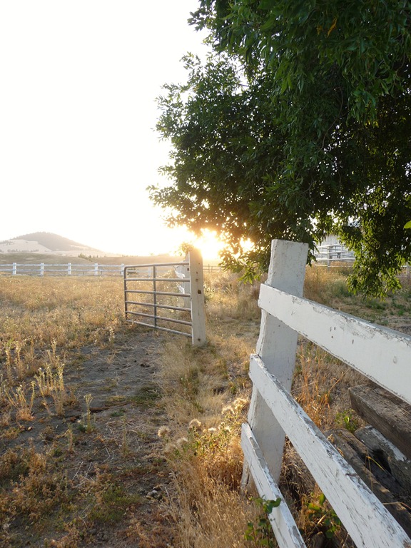 [Horse-trip-0245.jpg]