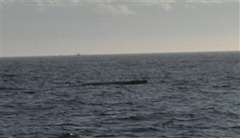 clip_image117_thumb clip_image117_thumb