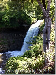 Minnehaha Falls from above