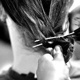 Cut 4.jpg