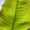 2009-1 037.jpg