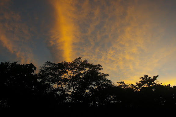 Coucher de soleil au-dessus des Carbets du Bord, Saül (Guyane), 1er décembre 2011. Photo : J.-M. Gayman