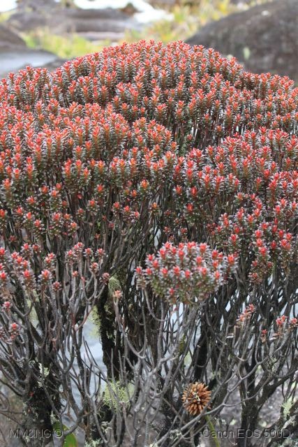 [IMG_1918%255B4%255D.jpg]