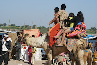DSC05876.JPG