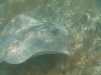IMG_4579.jpg